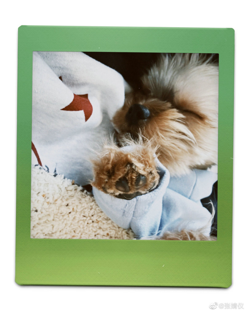 向太喜欢郭碧婷的原因 向太喜欢郭碧婷的原因