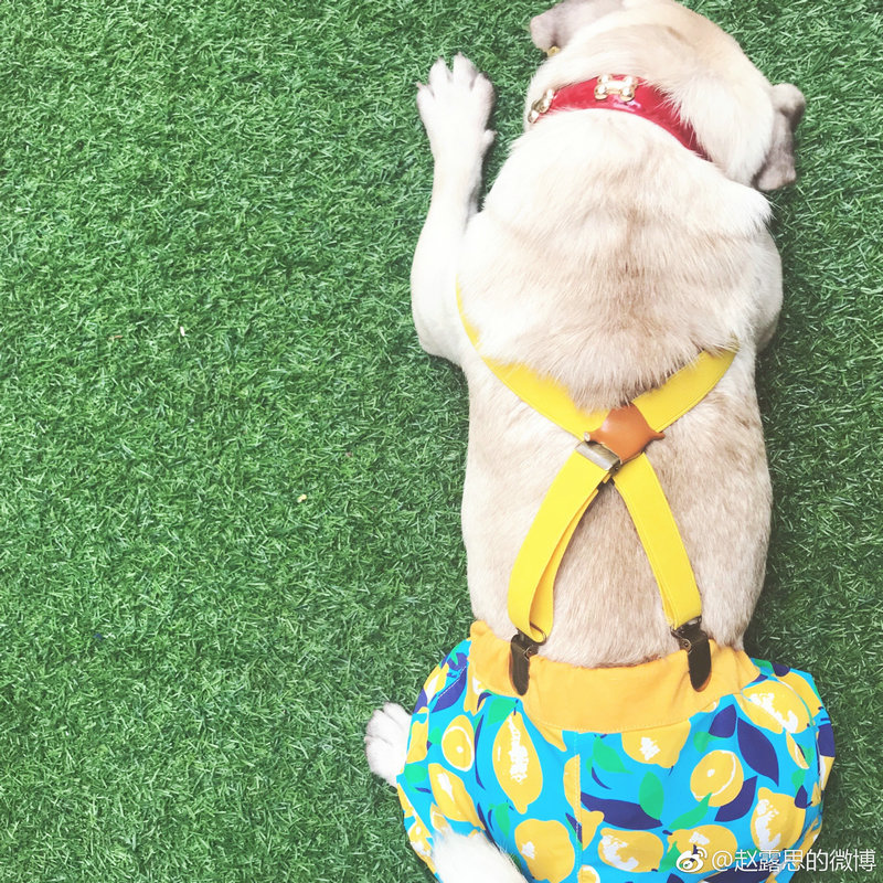 歌手江涛多少岁歌手江涛多大岁数 歌手江涛多少岁歌手江涛多大岁数