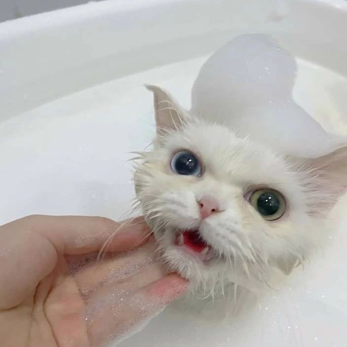 串烧dj歌曲经典老歌