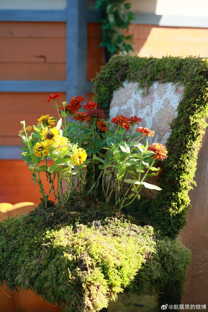 窦骁个人资料简历档案 窦骁个人资料简历档案