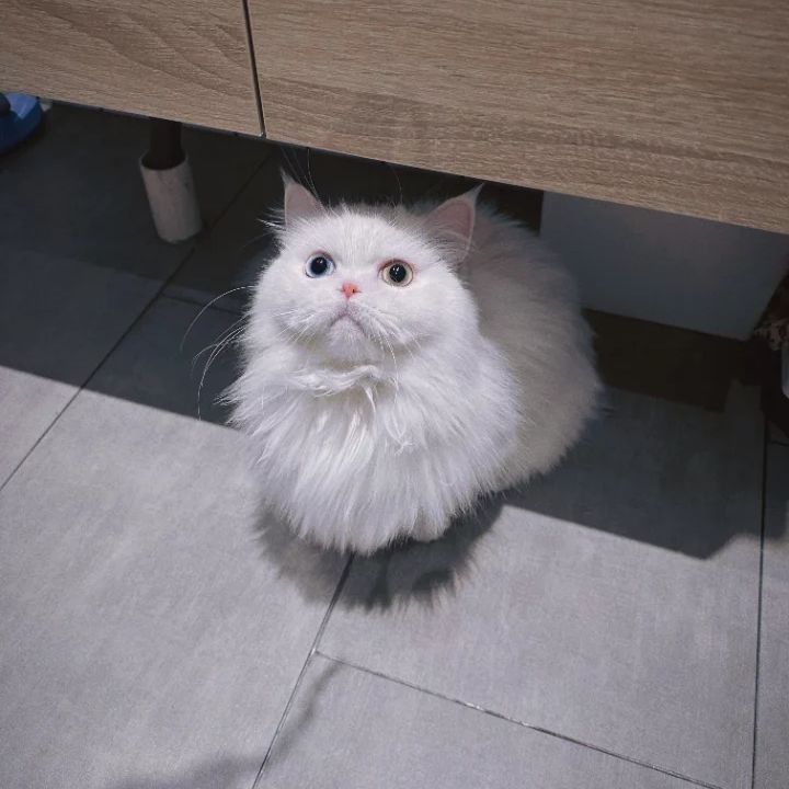 吴玉华简介 吴玉华简介 吴玉华照片 吴玉华简介 吴玉华简介 吴玉华照片