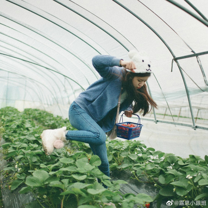 陈凯歌 父亲 陈凯歌 父亲