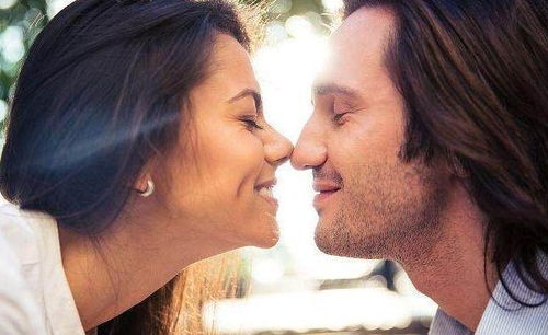 电视剧大象 电视剧大象免费播放在线观看