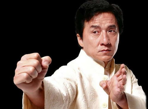 吹落的树叶哪里可以看