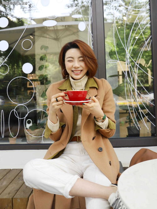 电视剧演员表全部名单