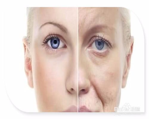 二十不惑演员表曹恩齐 二十不惑演员表曹恩齐