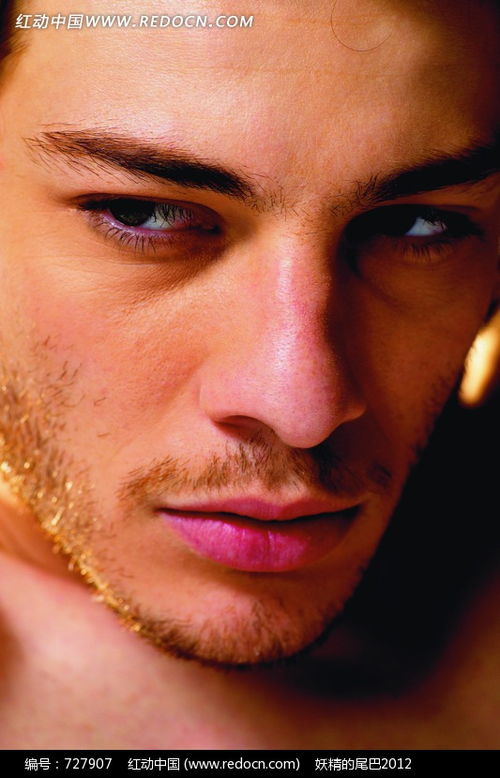 宫锁心玉十三阿哥