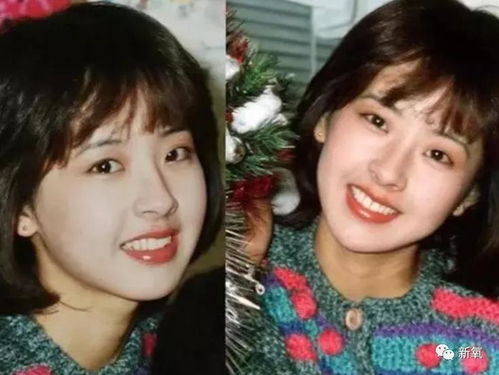 沉默的证人电视剧免费 沉默的证人电视剧免费