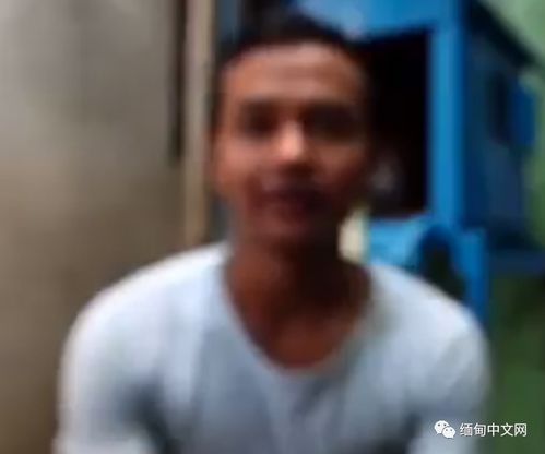 不速之客电影 不速之客电影讲的什么