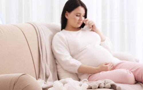 跟我回家电视剧 跟我回家电视剧全集在线观看 跟我回家电视剧 跟我回家电视剧全集在线观看