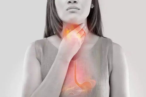 林丽莹祖籍 林丽莹年龄