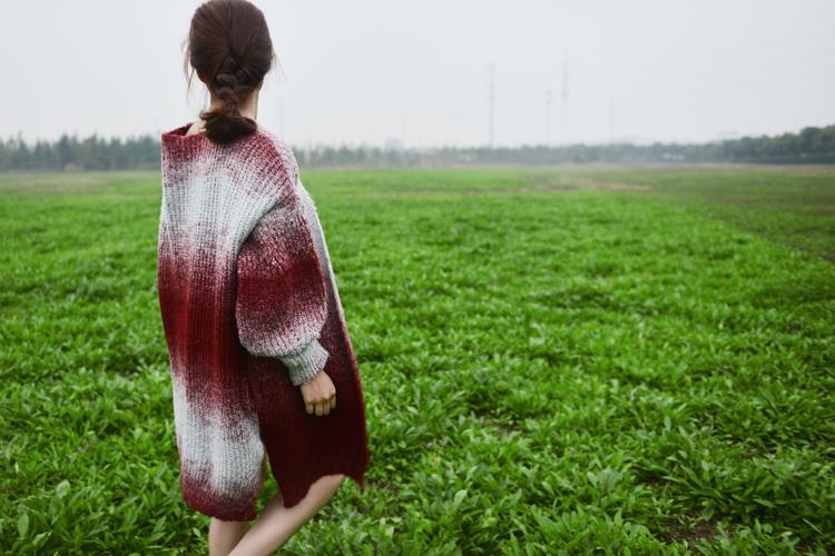 袁成杰背景 袁成杰是谁的老公