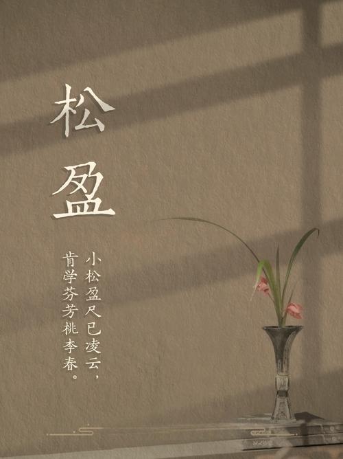 杨幂的简介 杨幂详细介绍 杨幂的简介 杨幂详细介绍