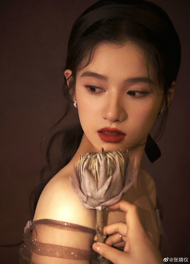 小布与伟仔动画片全集