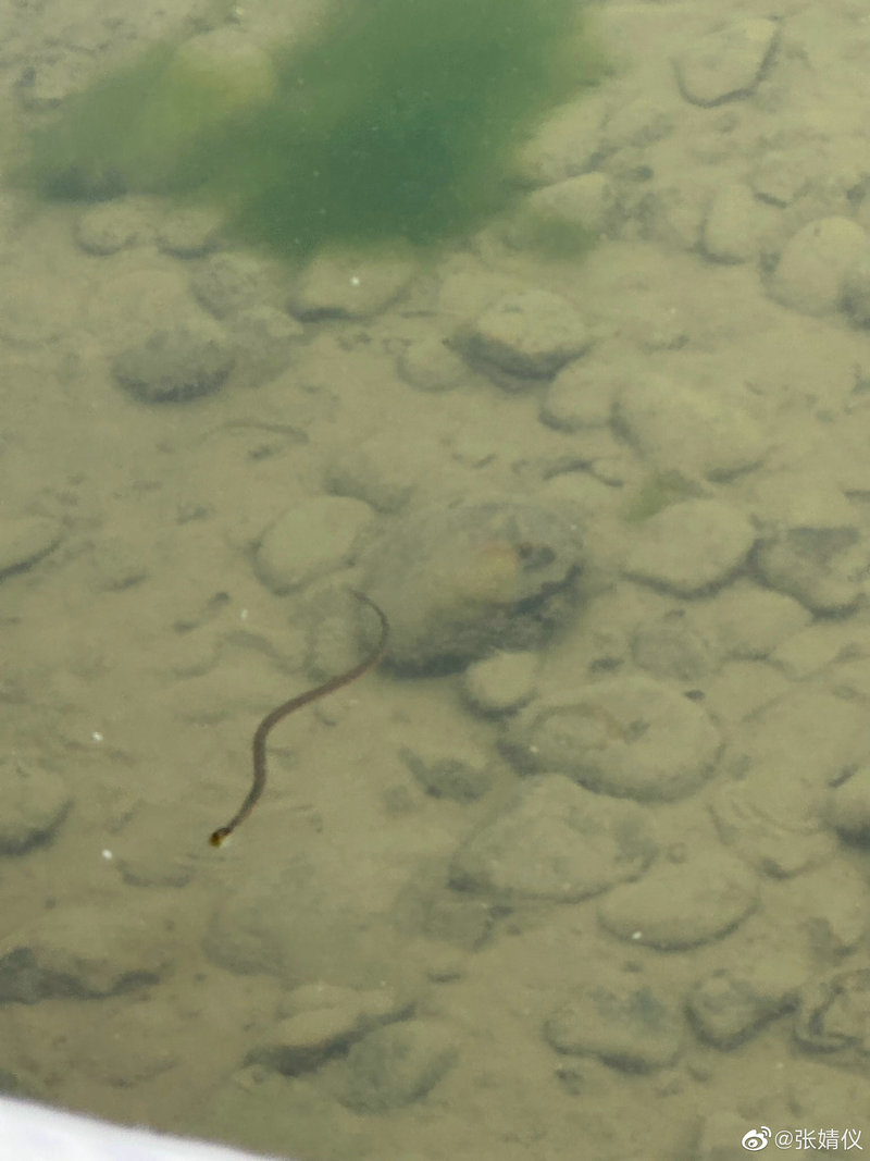 甄嬛传优酷 甄嬛传优酷免费吗 甄嬛传优酷 甄嬛传优酷免费吗