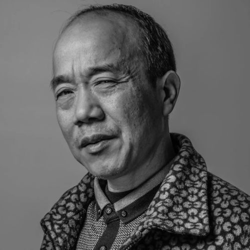 樊振东学历(樊振东学历有多高)