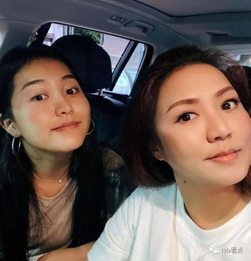 羊羊运动会 羊羊运动会55 羊羊运动会 羊羊运动会55