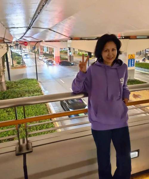 海清主演过哪些电视剧 海清主演过哪些电视剧