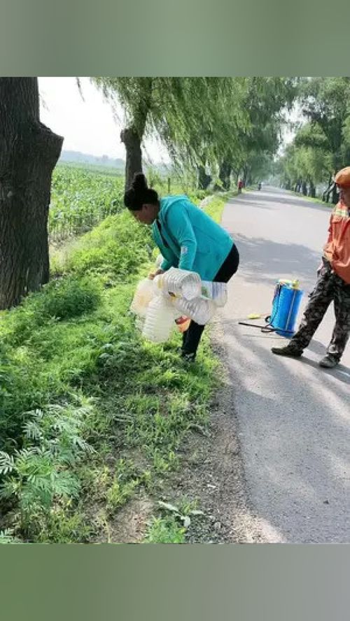 演员张力维 演员张力维近况