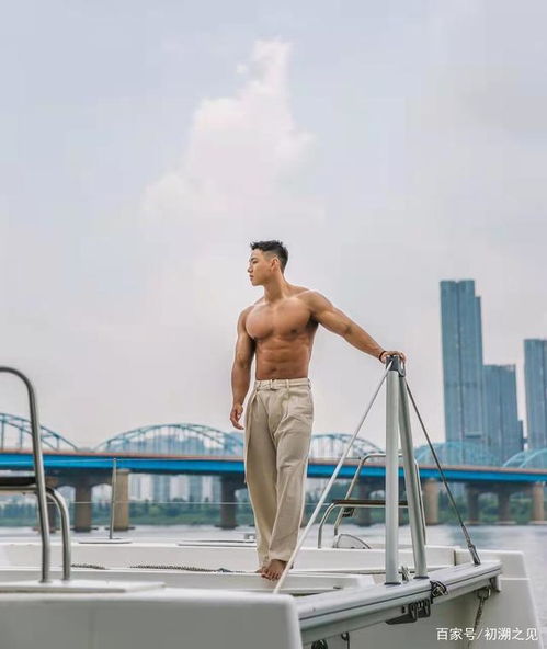 张爱朋简历 张爱朋百度百科