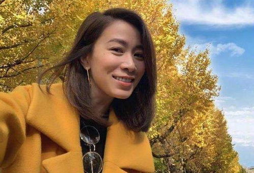 母老虎投资在线