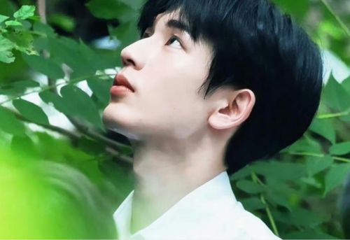 演员林申雨_林申雨新剧 演员林申雨_林申雨新剧