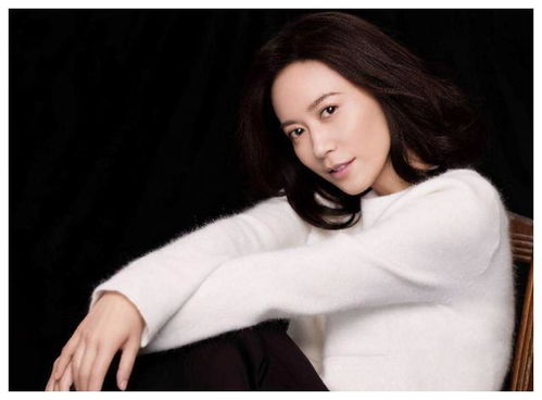 陈建州微博 陈健洲微博