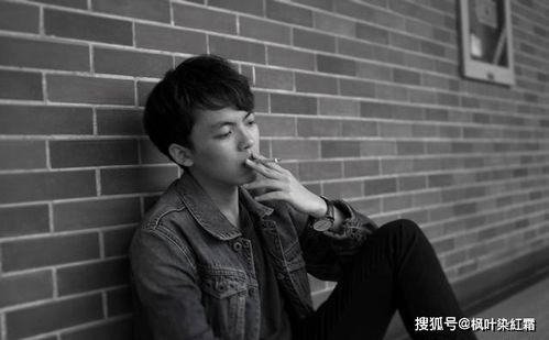 分生区细胞特点 分生区细胞特点