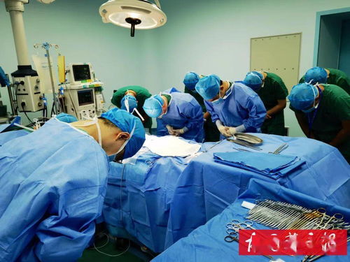 郭碧婷的家世简介资料