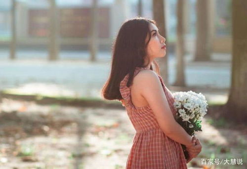 仓鼠乐园动漫仓鼠乐园 动漫