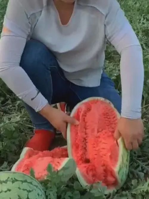 我知道歌词你不知道我知道歌词 我知道歌词你不知道我知道歌词