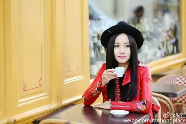 哈德逊奇迹 哈德逊奇迹的飞机型号 哈德逊奇迹 哈德逊奇迹的飞机型号