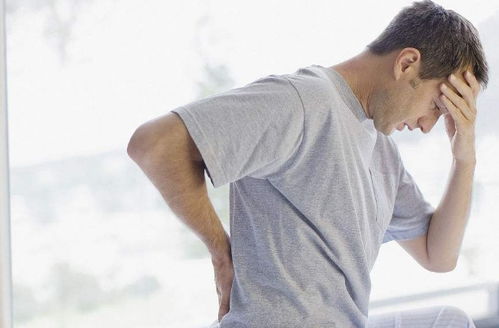 电视剧浴火凤凰演员表 电视剧浴火凤凰演员表