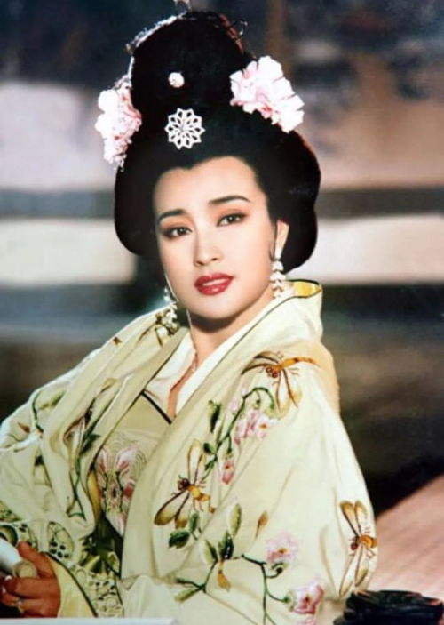 电视剧上门女婿演员表