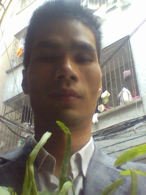 徐璐跟张翰在一起了吗 徐璐跟张翰在一起了吗